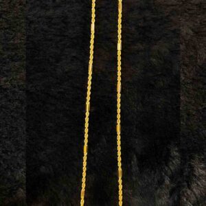 Micro Short Chain Model 02